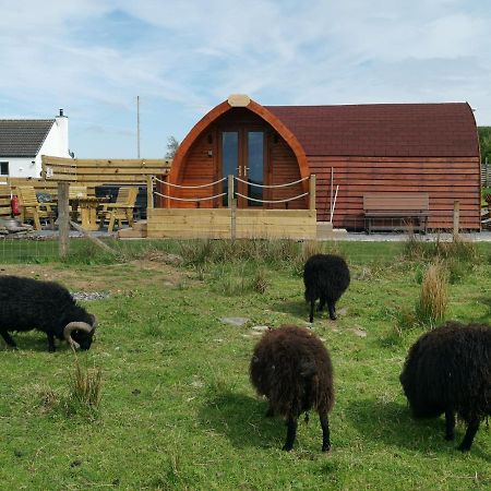 Achmeney Glamping Pod Larger Than Average Pod Halkirk Buitenkant foto