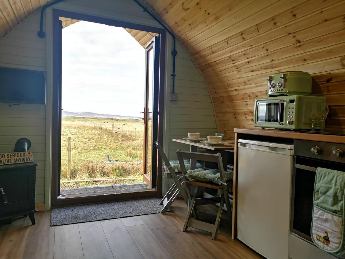 Achmeney Glamping Pod Larger Than Average Pod Halkirk Buitenkant foto