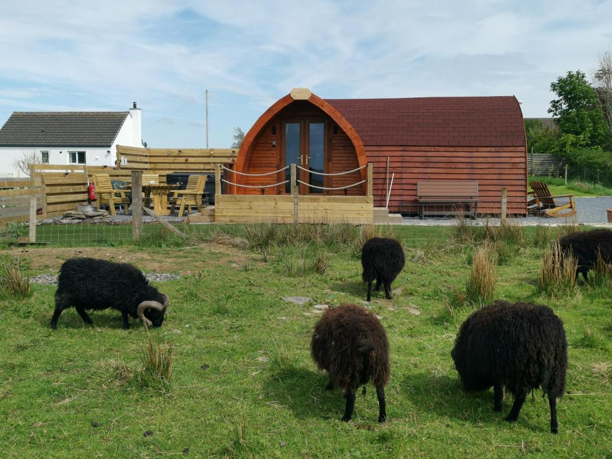 Achmeney Glamping Pod Larger Than Average Pod Halkirk Buitenkant foto