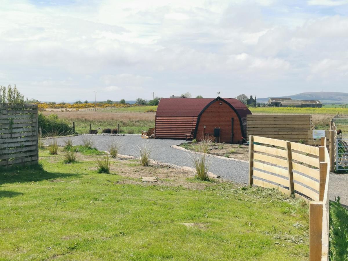 Achmeney Glamping Pod Larger Than Average Pod Halkirk Buitenkant foto